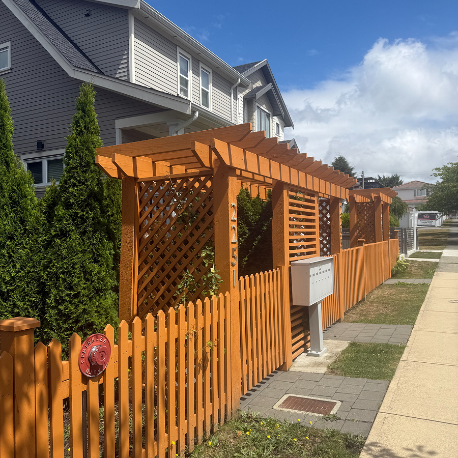 Cedar fence restoration